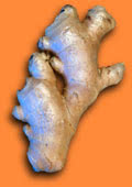 Photograph of a ginger root Photograph of a ginger root