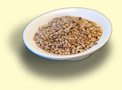 Photograph of sesame seed Photograph of sesame seed