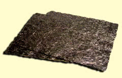 Photograph of seaweed Photograph of seaweed